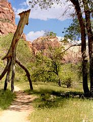 Category:Trails in Washington County, Utah - Wikimedia Commons