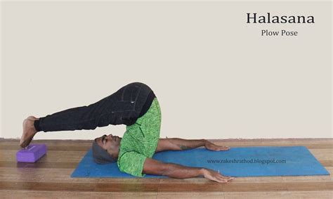 Halasana. Improves the tone and strength of back muscles and spinal ...