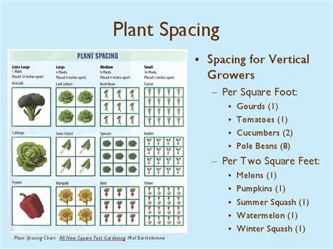 Quickie Chart for Square Foot Plant Spacing