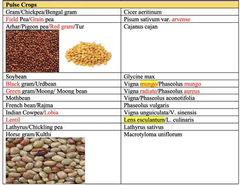 Crop Classification