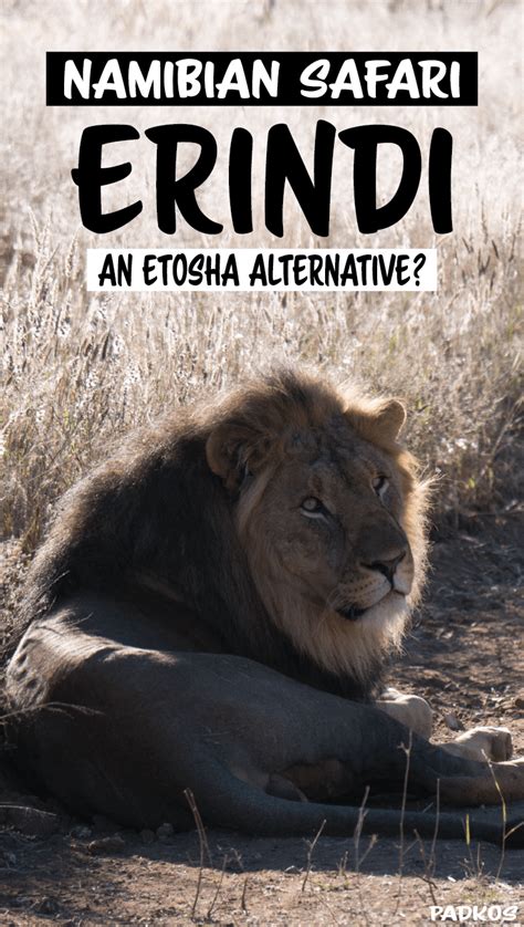 Erindi Private Game Reserve, an Etosha alternative? - Padkos | Game ...