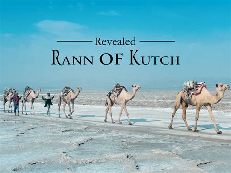 Prime Video: Revealed: Rann of Kutch - Season 1