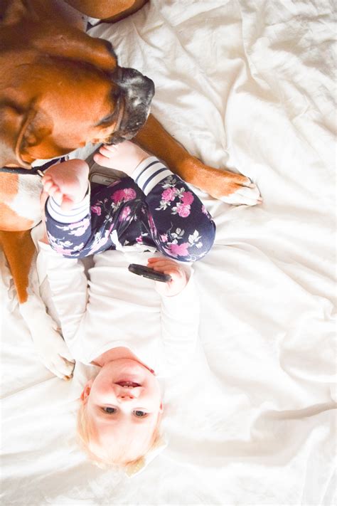 Just A Baby + Her Boxer — The Overwhelmed Mommy Blog