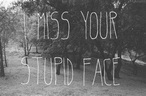 I Miss Your Stupid Face GIF - Find & Share on GIPHY