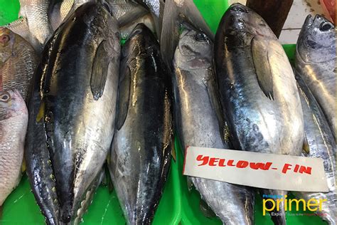 Market Guide to Common Fishes in the Philippines | Philippine Primer