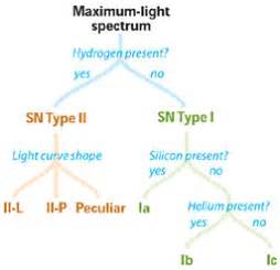 A Field Guide to Supernova Spectra - Sky & Telescope - Sky & Telescope