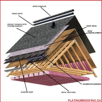 Asphalt Shingle Diagram 002 - Platinum Roofing.ca Ltd.