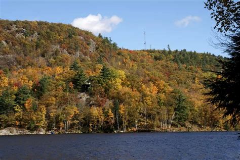 The Lazy Cabin, Cottages, Chelsea, Canada | Glamping Hub