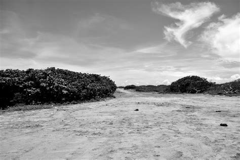 Playa Hermosa.Veracruz | Ariel Rock | Flickr