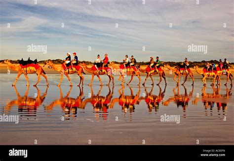 Camel Ride on Cable Beach, Broome, Western Australia Stock Photo - Alamy