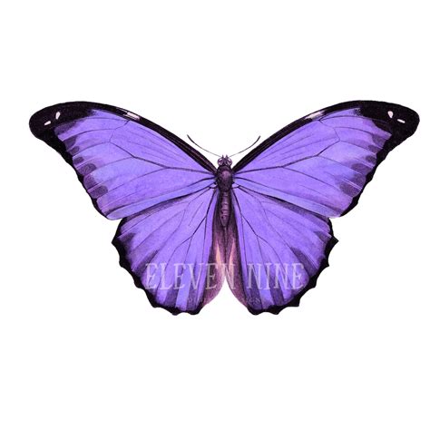 Butterfly Clipart, Purple Butterfly Clipart, Butterfly Digital Download ...