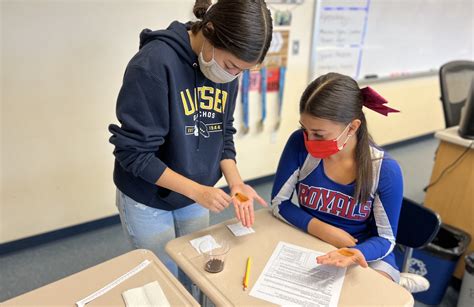 San Marcos High School Awarded $674,393 Grant for Health Careers ...