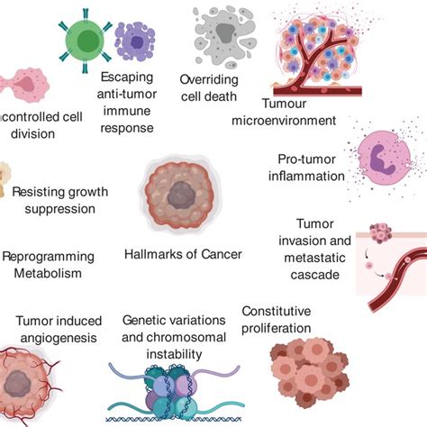 Key molecular characteristics of AA tumors with specific reference to ...