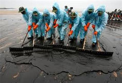 Clean-Up Efforts - deepwater horizon-BP Oil spill