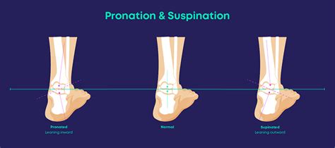 The difference between supination and pronation - Carl Todd Clinic