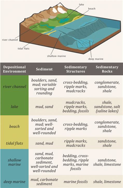 Sedimentary Rock Layers Diagram