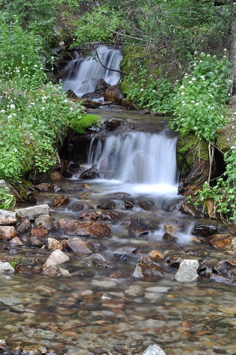 Spring Creek ford in the Upper Tomichi Valley | Between the … | Flickr