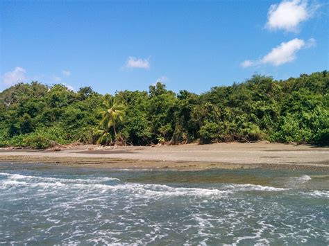 Drake Bay - All You Need To Know About Visiting | Costa rica beaches ...