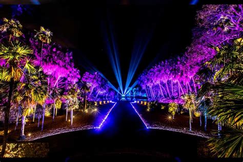 NightGarden Miami Experience: A magical light garden