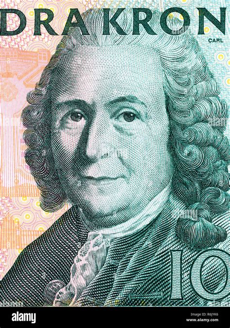 Carl Linnaeus portrait Stock Photo - Alamy