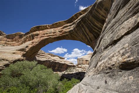 Natural Bridges National Monument