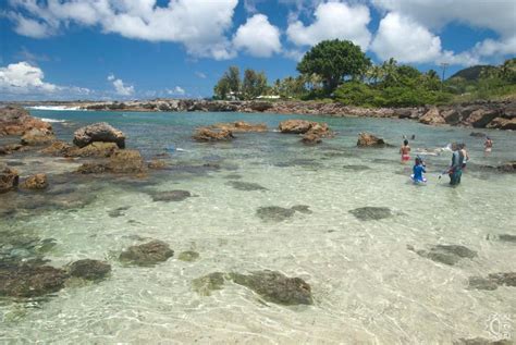 Shark's Cove - Pupukea Tide Pools in Haleiwa, Oahu, Hawaii | Oahu ...