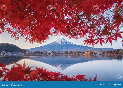 Mountain Fuji with Red Maple Leaves or Fall Foliage in Colorful Autumn ...