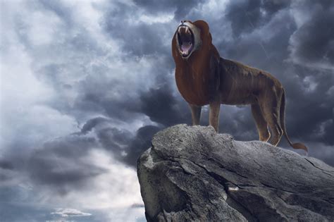 The Lion King 2019 - The Lion King 2019 Photo (42723135) - Fanpop