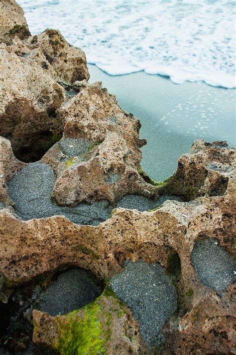 Blowing Rocks Preserve - Hobe Sound, FL | Orlando travel, Day trips ...