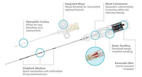 Arrow® QuickFlash® Arterial Catheter | US | Teleflex