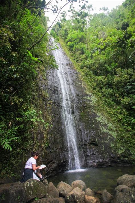 12 Breathtaking Oahu Waterfall Hikes Worth Checking Out (2023)