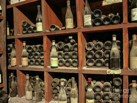 Old wine cellar Photograph by Patricia Hofmeester - Pixels