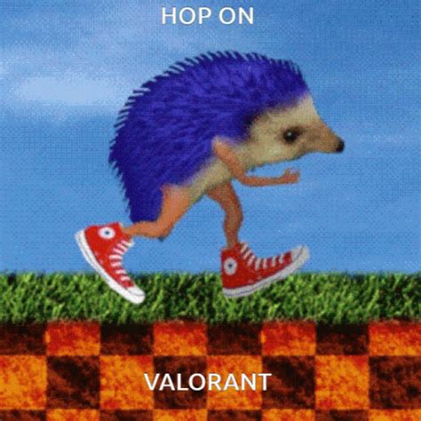 Realistic Sanic The Hedgehog Running GIF | GIFDB.com