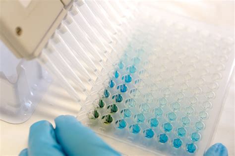 Cytotoxicity Assay Protocol - ReadyCell in vitro tools