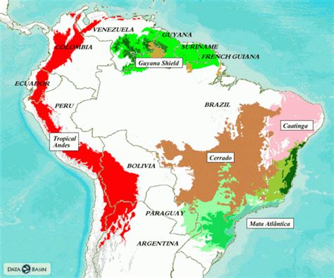 Other ecoregions of South America | Global Forest Atlas