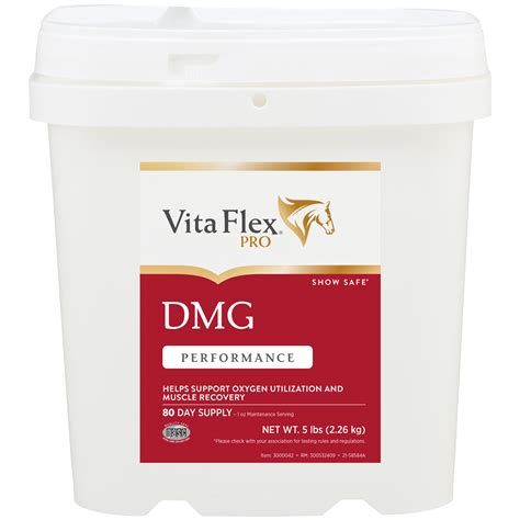 Vita Flex Pro DMG | Muscle Recovery Equine Supplement