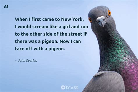 20 Pigeon Quotes About The Cooing City Companions