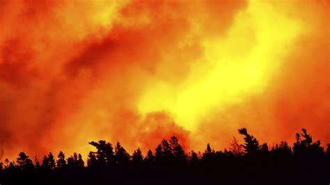 Feux de forêt sur la Côte-Nord : qualité de l'air jugée mauvaise au Bas ...