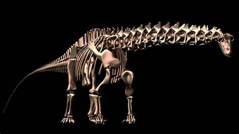 The New PLOS ONE Collection on “Sauropod Gigantism – A Cross ...