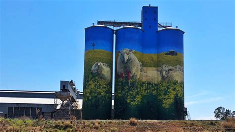 Merriwa Silo Art