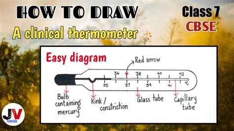 easy diagram of clinical thermometer|how to draw clinical thermometer ...