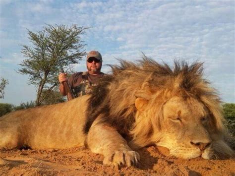 Lion Hunt South Africa - HuntingAgent.com