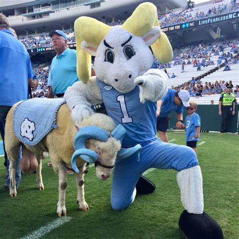 a man in a mascot outfit standing next to a sheep on a field at a ...