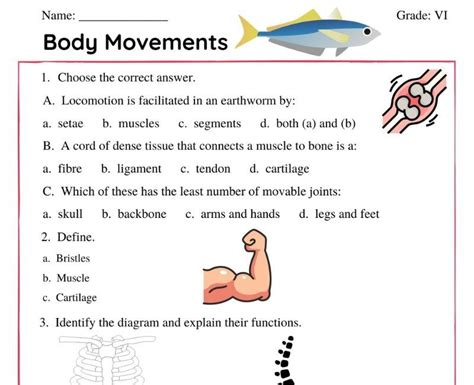 Body Movements class 6 | worksheet | Worksheets, Movement, Body movement