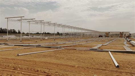 Turn-key vegetable greenhouse project Kingdom of Saudi Arabia - Debets ...