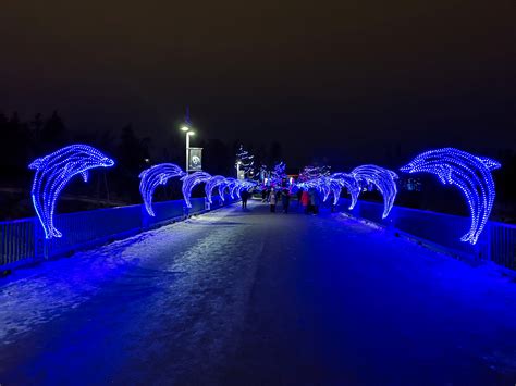 Zoolights in Calgary- what to know before your visit