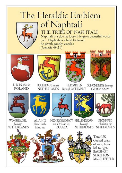 Exploring the Majestic Heraldic Emblems of the Tribe of Naphtali