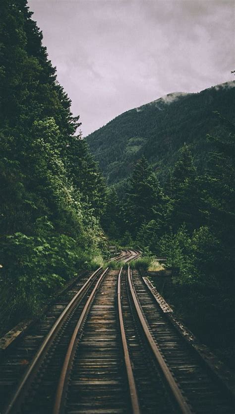 Nature Aesthetic, nature dark green aesthetic HD phone wallpaper | Pxfuel