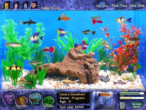 Beautiful Fish in The World: Fish Games