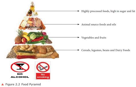 Four Food Groups and Food Pyramid